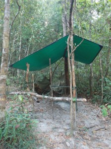 Koh Kong jungle: slaapplaats / sleeping spot